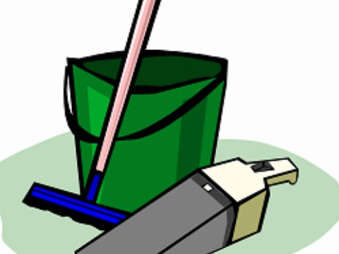 Beperkte vorm huishoudelijke hulp toelage