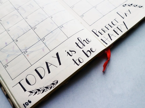 Vandaag is de ultieme (palin)droom