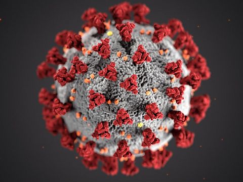 Opnieuw Maassluizer overleden aan coronavirus