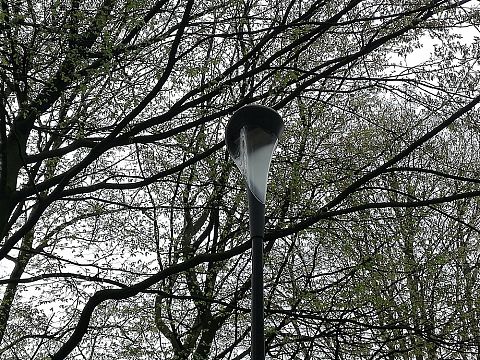 'Problemen met straatverlichting in Maassluis'
