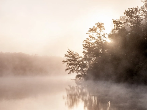 KNMI waarschuwt voor dichte mist