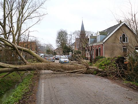 Stormincidenten: 55 stuks in Schiedam