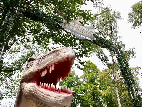 Dino-tentoonstelling trekt 22.000 bezoekers