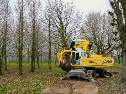 Bomen Straussplein machinaal verplaatst