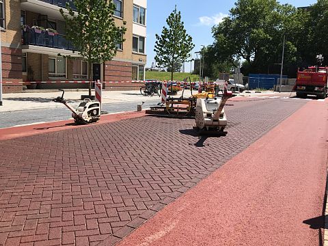 Vervanging van wegdek en alle bomen in lanen Schiedam-Oost