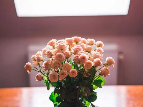 Bloemen voor bezieling