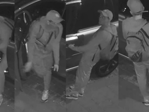 Auto-inbraak in Tuinlaan