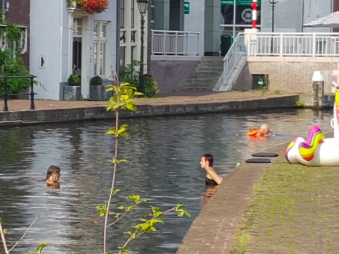 Nog nooit vertoond in Schiedam: negen tropische dagen op rij