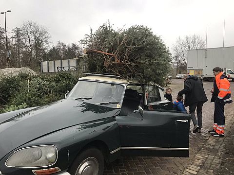 Inzameling kerstbomen en vuurwerk in Schiedam succes