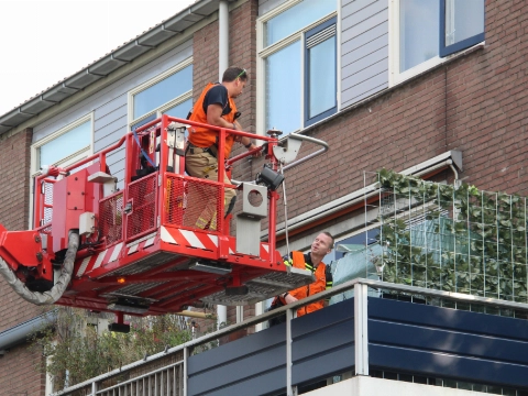 Hennepplanten van balkon gehaald