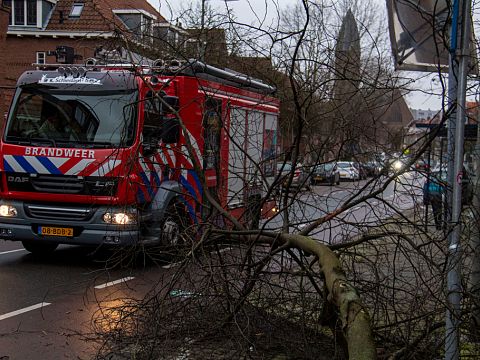 Storm haalt boom om in Nieuwe Maasstraat