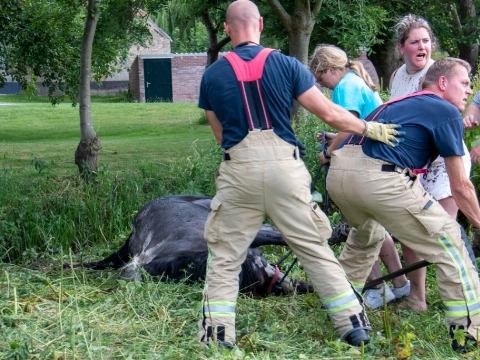 Paard uit de sloot met behulp van trekker