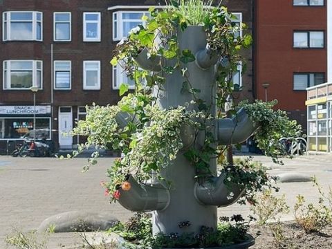 Twee plantpiramides geplaatst op Van 't Hoffplein