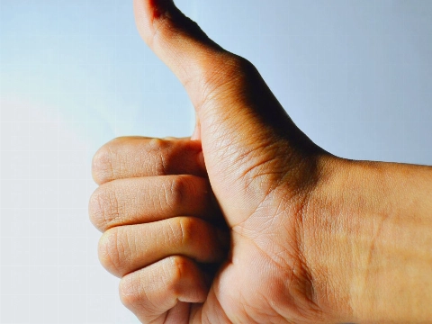 Tevredenheid Schiedammers loopt terug