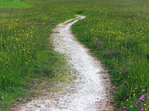 Officiële opening gloednieuw ‘Polderpad in de stad’
