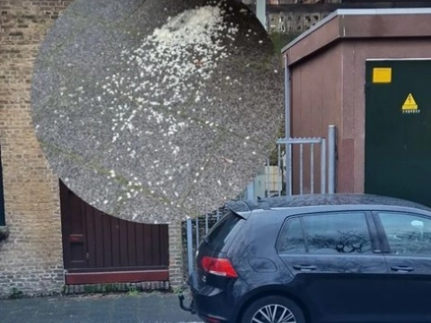 Team ziet ruitje voor uitje aan