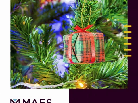 Praat met professionals van MAES notarissen