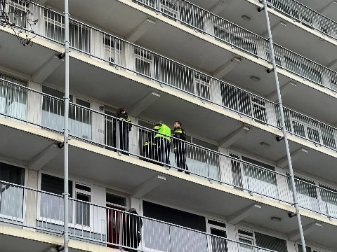 Schot gelost op Van Hogendorplaan