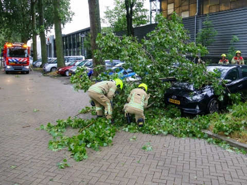 Grote takken vallen op auto&rsquo;s
