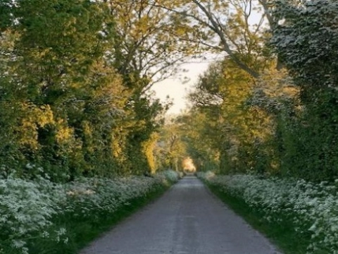 SanaVera strijkt tijdelijk neer in Schiedam