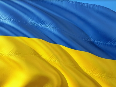 Bibliotheek verzamelt info voor Oekraïense vluchtelingen