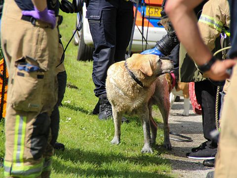 Brandweer rukt uit voor hond te water