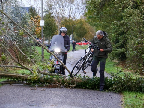 Scooters moeten andere weg zoeken