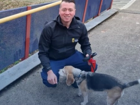 Zoekactie voor ontsnapte hond