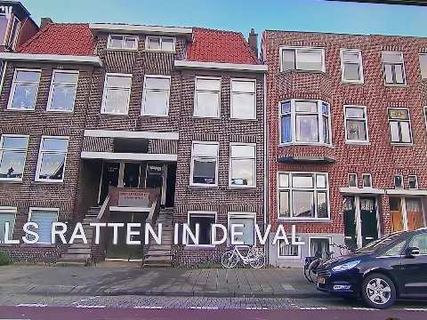 Schiedamse onmin tussen huisbaas en huurders bij Rijdende Rechter