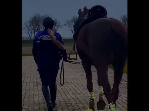 Nieuw: BOA’s te paard in Schiedam