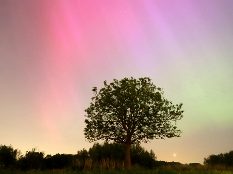 Noorderlicht kleurt onze lucht