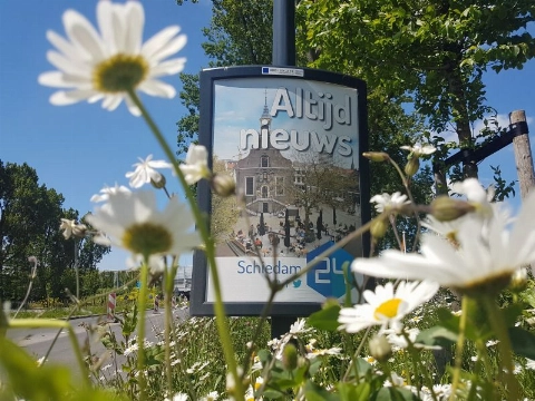 Schiedam24 zoekt journalisten (in wording)