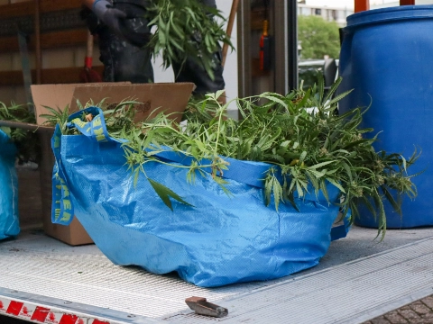 Brandweer stuit op wietplantage na melding lekkage