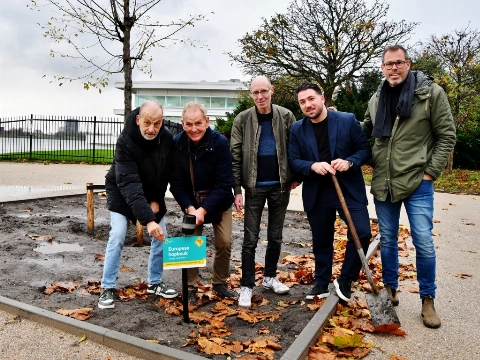 Een boom om Schiedam viert 750 te herinneren