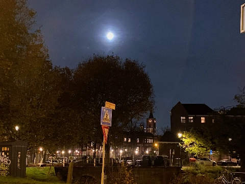 Schiedamse vrouwen gaan onveilige plekken 'verzamelen'