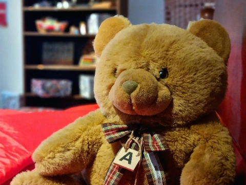 Sinterklaashuis in Museum Vlaardingen