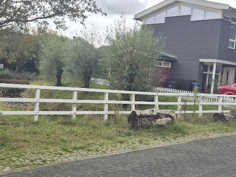 Sveaparken, van paradepaardje naar vergeten tuin