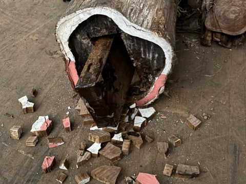 Drie Schiedamse verdachten drugssmokkel op vrije voeten