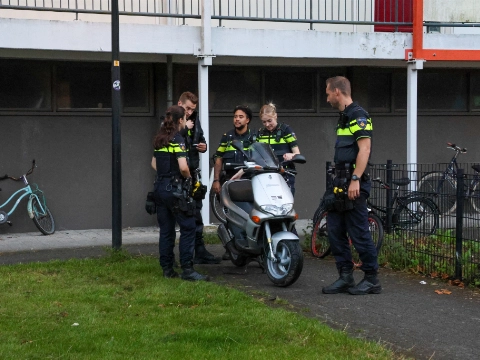 Klopjacht na achtervolging