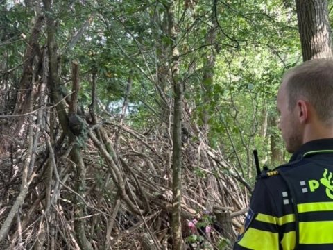 Schiedammers maken elkaar het leven zuur, gisteren en vannacht