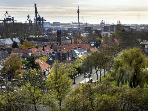 DCMR en provincie: 'Actie nodig tegen vliegen Heijplaat'
