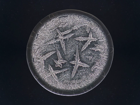 Tranen in het Schreiershuisje