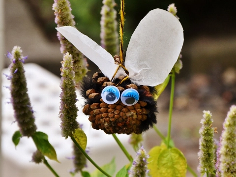 Bee our guest bij de Groene Raat