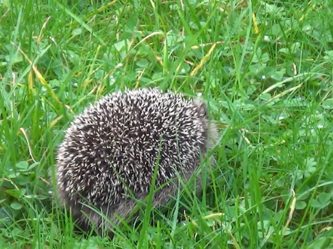 Leren over de natuur - en beleven!