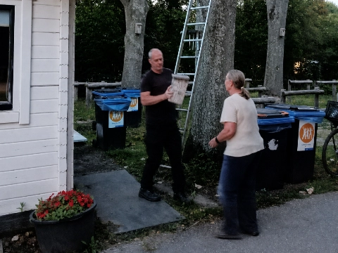 Nest Aziatische hoornaars weggehaald uit Beatrixpark