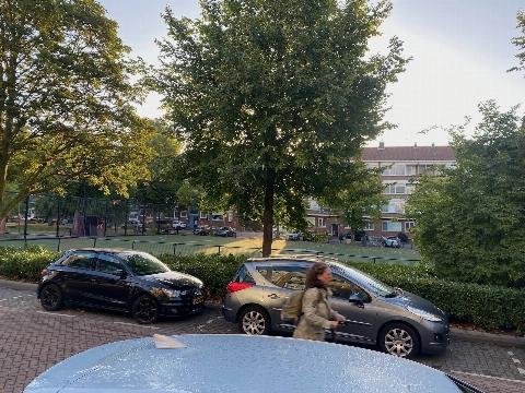Schiedammers verhuizen graag naar Rotterdam, maar andersom nog meer