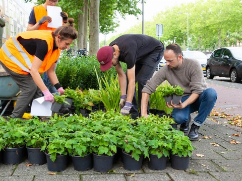 Schiedam haakt in op 'Plant je mee?'