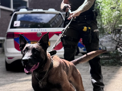 Politiehond spoort vluchtende scooterrijders op
