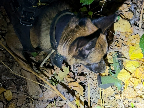 Politiehond Mac vindt weggegooid vuurwapen in Beatrixpark