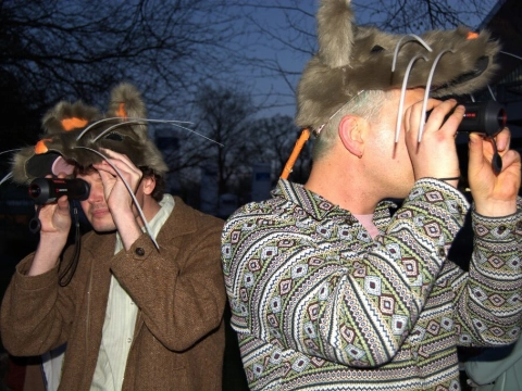 Dierenpartij zoekt knaagdierknuffelaars en rattenhaters